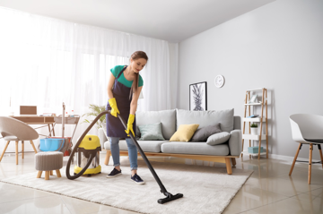 Why Are SEBO and Miele Vacuums So Good?