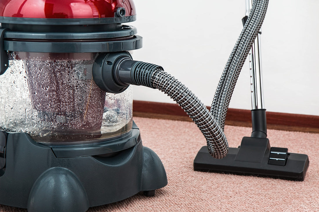 Dyson vs. Miele Vacuums: Which to Choose?