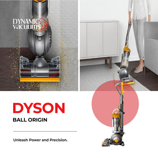 Dyson Ball Origin