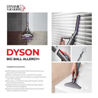 Dyson Big Ball Allergy+